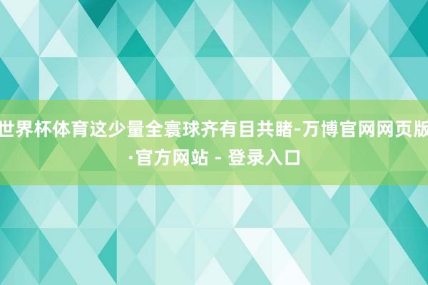世界杯体育这少量全寰球齐有目共睹-万博官网网页版·官方网站 - 登录入口